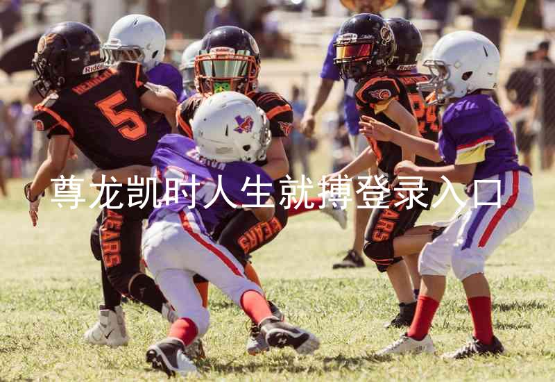 尊龙凯时人生就搏登录入口