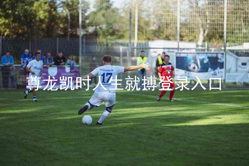 尊龙凯时人生就搏登录入口